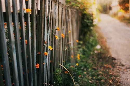 苹果手机虚拟位置永久免费版（苹果虚拟位置助手）