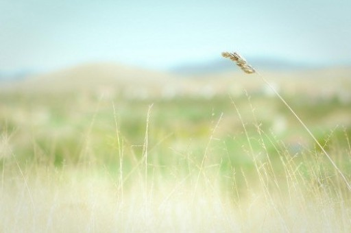 苹果不小心把隐藏了怎么恢复（苹果怎么取消隐藏的）